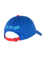The Santa Cruz Boys Boys Dot Guy TTE Cap in Sapphire