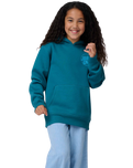Boys Roskopp Screaming Five Hoodie in Teal