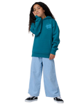 Boys Roskopp Screaming Five Hoodie in Teal