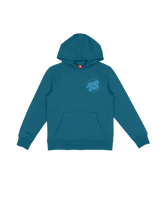 Boys Roskopp Screaming Five Hoodie in Teal