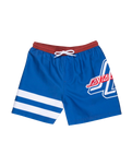 The Santa Cruz Boys Boys OGSC Sports Swimshorts in Ultramarine