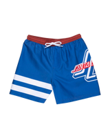 The Santa Cruz Boys Boys OGSC Sports Swimshorts in Ultramarine