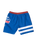 The Santa Cruz Boys Boys OGSC Sports Swimshorts in Ultramarine