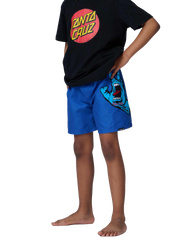 The Santa Cruz Boys Boys Screaming Hand Swimshorts in Ultramarine