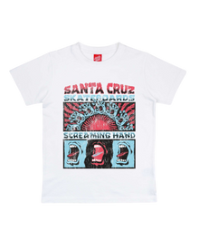 The Santa Cruz Boys Boys Vintage Screaming Connect T-Shirt in White