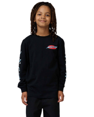 The Santa Cruz Boys Boys Salba Voodoo Long Sleeve T-Shirt in Black