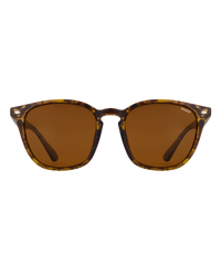 The Sinner Sunglasses Sorai Sunglasses in Matte Tortoise Brown & Sintec Brown
