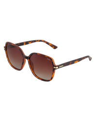 Barfleur Sunglasses in Tortoise Brown & Gradient Brown