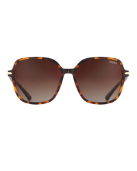 Barfleur Sunglasses in Tortoise Brown & Gradient Brown