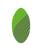 Croc EVA 39" Skimboard in Green