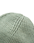 Passenger Beanie in Pistachio