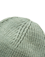 Passenger Beanie in Pistachio