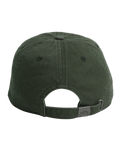 The RVCA Womens RVCA Cap in Olive