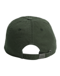 The RVCA Womens RVCA Cap in Olive