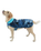 The Dryrobe Dog Dryrobe in Blue Camo & Blue | Available at Anns Cottage
