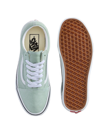Old Skool Shoes in Colour Theory Grey Olive