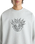 Skate Smile Spike Sweatshirt in Ash Heather