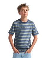 The Vans Boys Boys Cameron Stripe T-Shirt in Stormy Weather & Parisian Night Blue