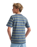 The Vans Boys Boys Cameron Stripe T-Shirt in Stormy Weather & Parisian Night Blue