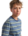 The Vans Boys Boys Cameron Stripe T-Shirt in Stormy Weather & Parisian Night Blue