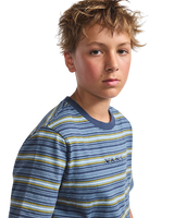 The Vans Boys Boys Cameron Stripe T-Shirt in Stormy Weather & Parisian Night Blue