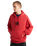 EMEA Stretch Logo Hoodie in Crimson Haze