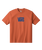 The Vans Boys Boys Stretch Logo T-Shirt in Flame