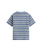 The Vans Mens Stripe Ringer Loose T-Shirt in Soft Slate