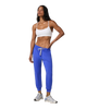 Performance Joggers in Electric Blue