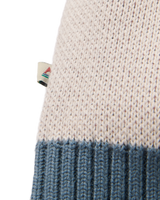 The Passenger Womens Scenic Knitted Cardigan in Scenic Stormy Blue