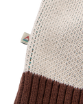 The Passenger Womens Scenic Knitted Cardigan in Scenic Chestnut