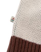 The Passenger Womens Scenic Knitted Cardigan in Scenic Chestnut