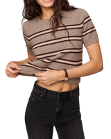 The Z Supply Womens Gatewood Stripe Sweater Top in Heather Ash